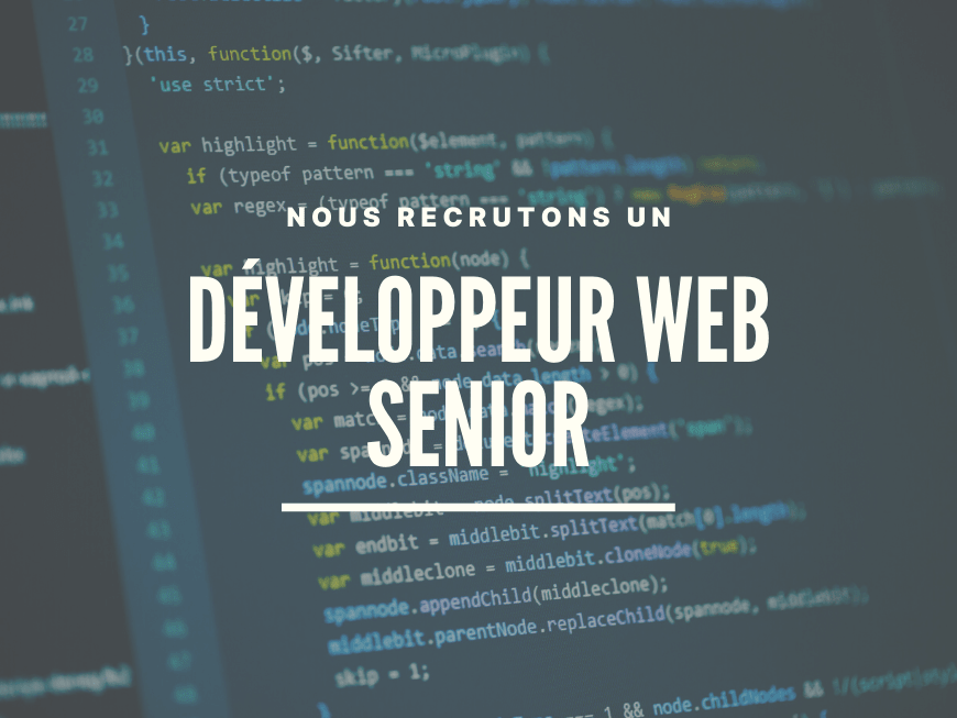 Nous recrutons un Développeur web Senior